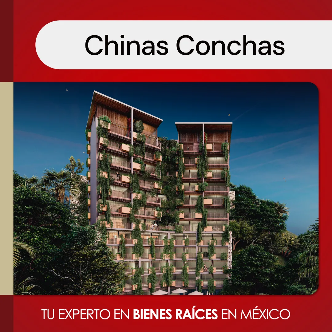 chinas conchas