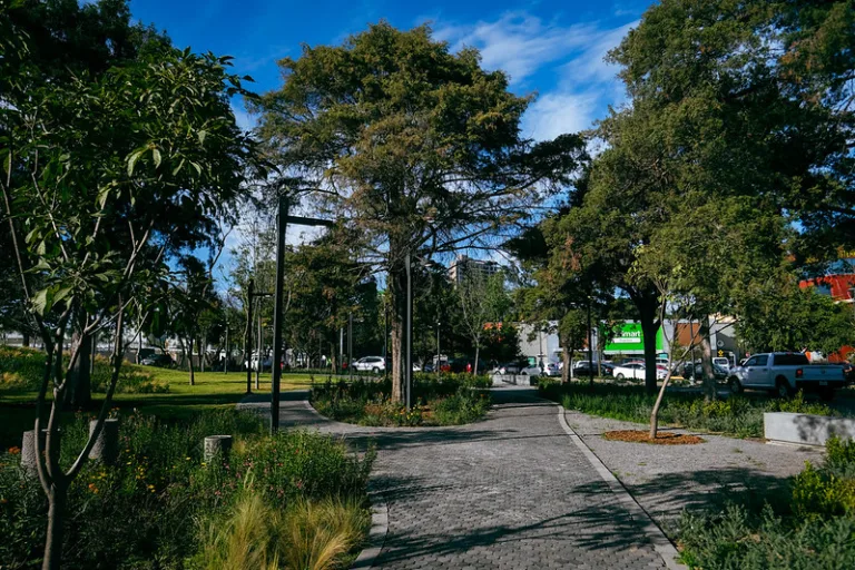 Living in Monraz, Guadalajara: A Local Guide for Homebuyers 
