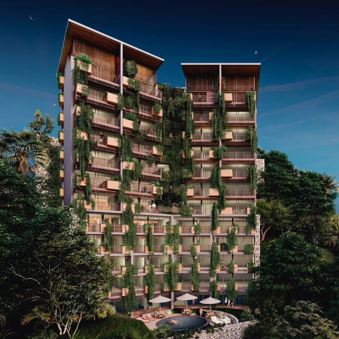 chinas conchas development